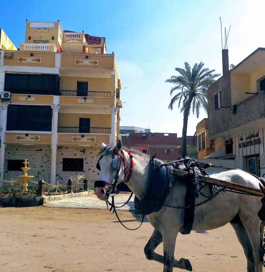 Pyramids Loft Guesthouse カイロ エクステリア 写真